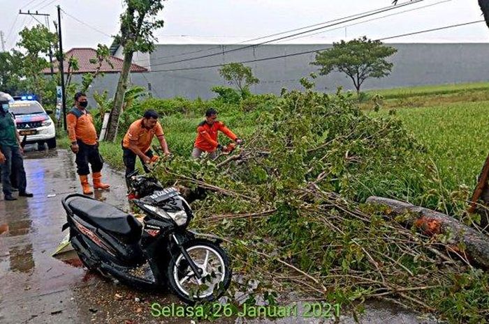 Honda BeAT nempel aspal usai sokbreker belakang patah serta bodi pecah akibat ditebas pohon ambruk di Pilangsari, Sragen, Jawa Tengah