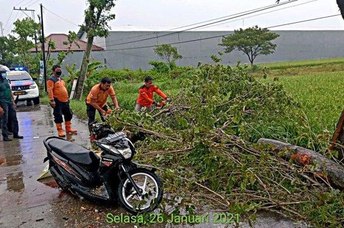 Honda BeAT nempel aspal usai sokbreker belakang patah serta bodi pecah akibat ditebas pohon ambruk di Pilangsari, Sragen, Jawa Tengah