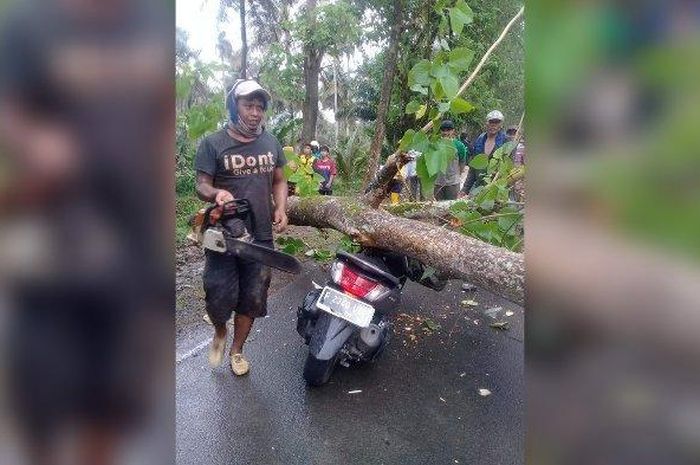 Yamaha NMAX tertimpa pohon roboh di jalan raya Ujung Genteng, kampung Cikalapa, desa Cikangkung, Ciracap, kabupaten Sukabumi, Jawa Barat