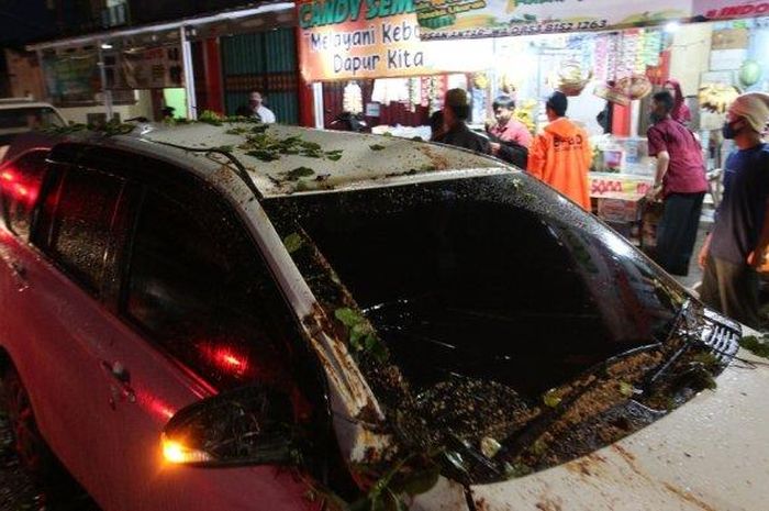 Daihatsu Sigra kejatuhan pohon tumbang sampai penyok atap