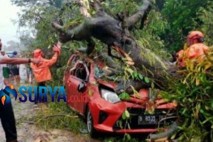 Toyota Calya remuk redam hingga atap ambles kejatuhan pohon di Bangkalan, Madura