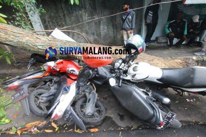 Honda BeAT, Revo, CB150R, Yamaha Mio Soul dan 3 motor lain ringsek tertimpa pohon tumbang di Jl Tenes, kota Malang, Jawa Timur