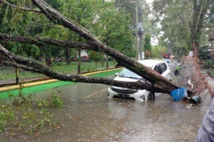 Toyota Agya tertimpa pohon tumbang di Jl Simpurusiang, Masamba, Luwu Utara, Sulawesi Selatan