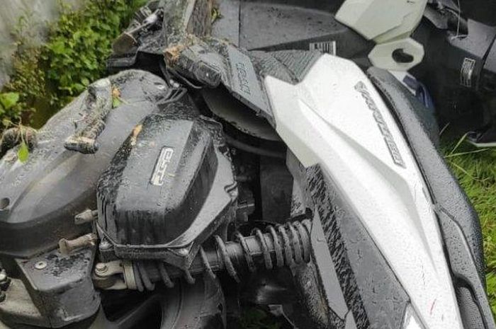 Pengendara Honda Vario tewas setelah tertimpa pohon tumbang 