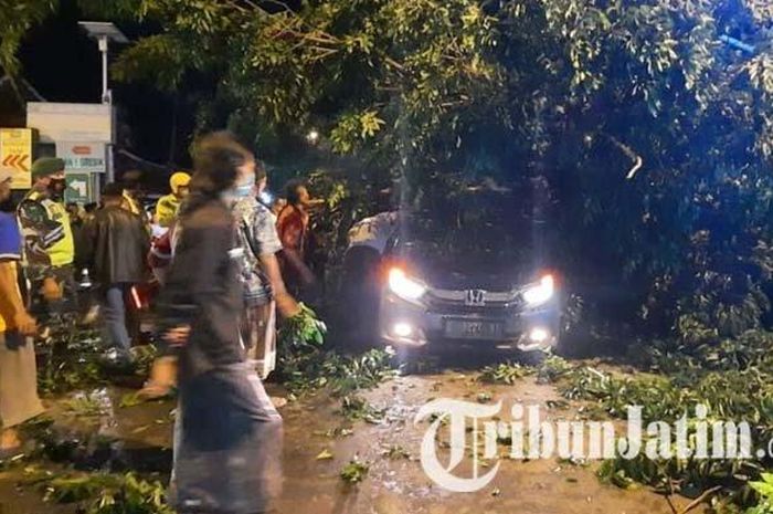 Honda Brio kejatuhan pohon yang dihantam truk ngeblong