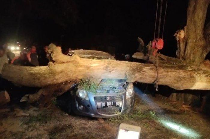 Suzuki Splash ditebas pohon ambruk di jalan raya Sengkang-Bone, desa Simpursia, Pammana, Wajo, Sulawesi Selatan, (3/3/21).