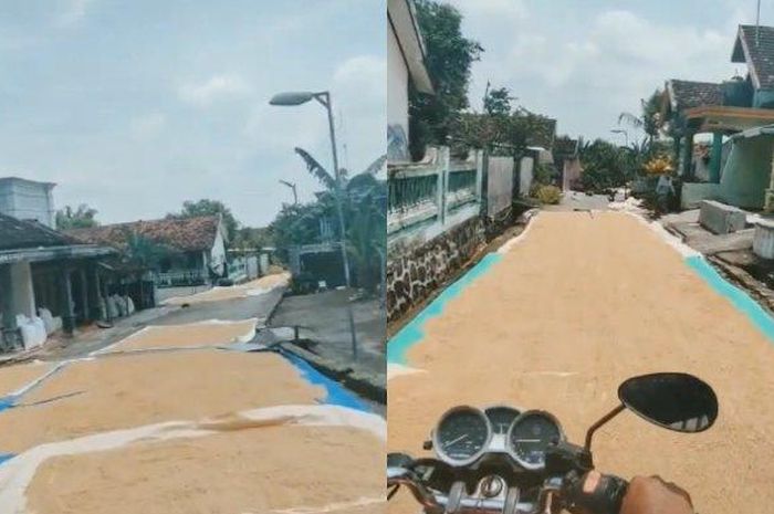 Viral video Yamaha V-Ixion jalan di atas gabah yang sedang dijemur hampir di seluruh badan jalan