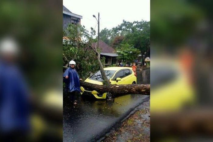 Honda Jazz GK5 dipalang pohon tumbang yang ambruk menyerempet kap mesin dan fender kiri di Jl LLRE Martadinata, Blok Cogreg Maleber, Ciamis, Jawa Barat