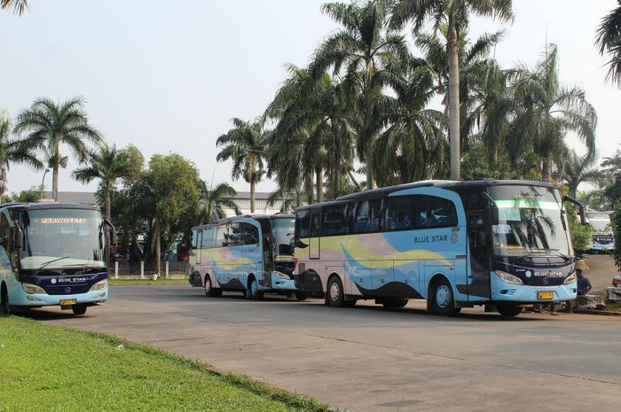 PO Blue Star masih menunggu keputusan final larangan Mudik Lebaran 2021