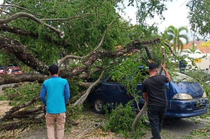 Daihatsu Espass digebrak pohon tumbang