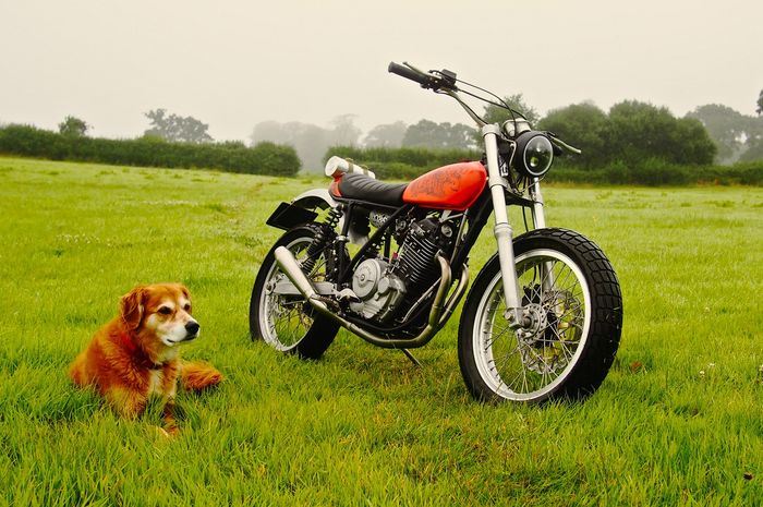 Honda NX650-Yamaha TT500 Street Tracker