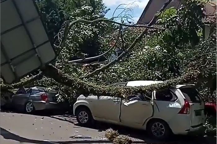 Toyota Avanza dan Hyundai Avega digeprek pohon hingga gepeng di Jl Bungur, kota Bandung, Jawa Barat