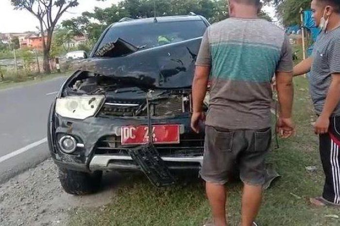 Mitsubishi Pajero Sport pelat merah tabrak kerbau hingga mati di Jl Sultan Hasanuddin, Lutang, Tande Timur, Banggae Timur, Majene, Sulawei Barat.