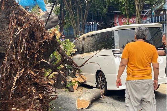 Toyota Voxy milik musisi Eros Djarot tertimpa pohon di Kebayoran Lama, Jakarta Selatan
