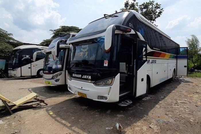 Sejumlah bus parkir di terminal bayangan Cimanggis, Ciputat, Tangerang Selatan