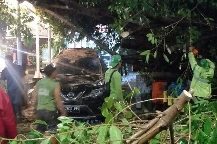 Sebuah pohon berukuran besar tumbang di Jalan HR Rasuna Said, tepatnya di dekat Gedung Cyber 2 Tower, Setiabudi, Jakarta Selatan, Jumat (23/4/2021) 
