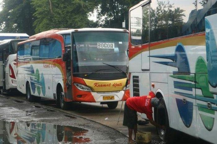 beberapa armada bus yang ada di terminal Baranangsiang.