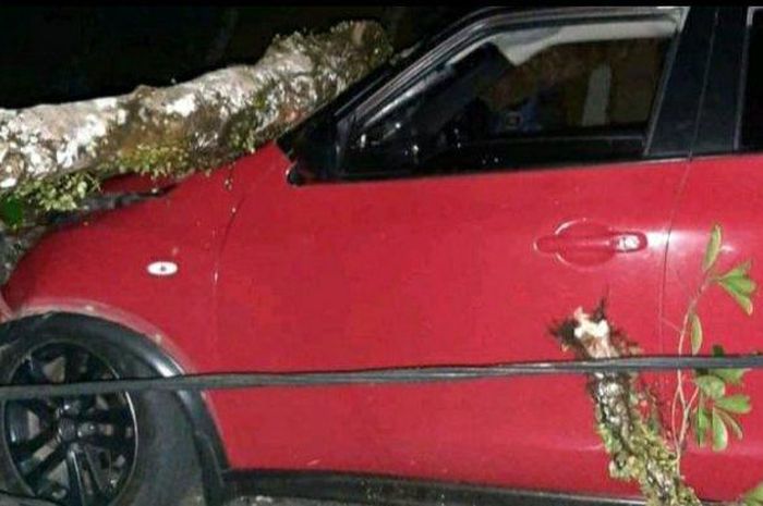 Nissan Juke tertimpa pohon saat melinta di kawasan Bukit Tiung, kota Bangko, Merangin, Jambi