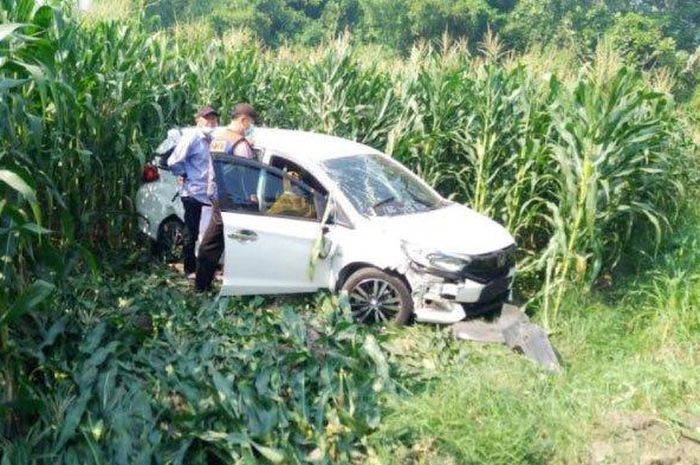 Honda Mobilio tebas ladang jagung karena pengemudi sempat pingsan saat menyetir di desa Padangan, Kayen Kidul, Kediri, Jawa Timur