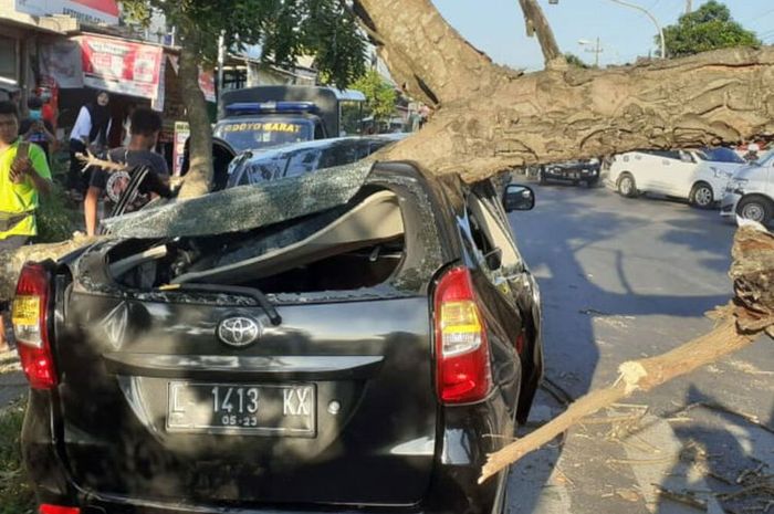 Toyota Avanza atap gepng digebrak pohon