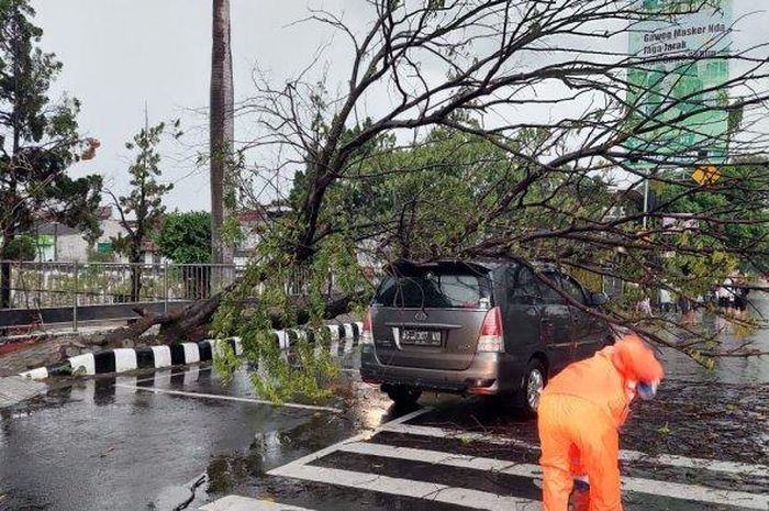 Toyota Kijang Innova tertimpa pohon tumbang di depan Taman Makam Pahlawan kota Kediri, Jawa Timur