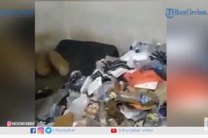 Tangkapan layar video kamar kos driver ojol penuh sampah (Youtube tribunjabar video) 