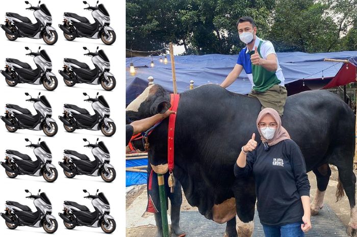 Sapi Raffi Ahmad lebih berat dari 10 unit Yamaha NMAX