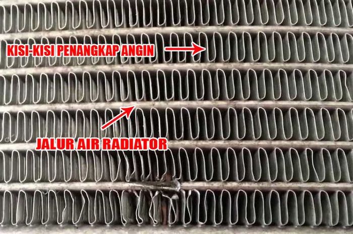 Perbedaan kisi-kisi dan sirip radiator motor