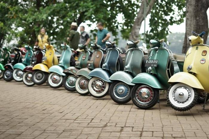 Ilustrasi Vespa Kongo. Masih diburu hingga sekarang