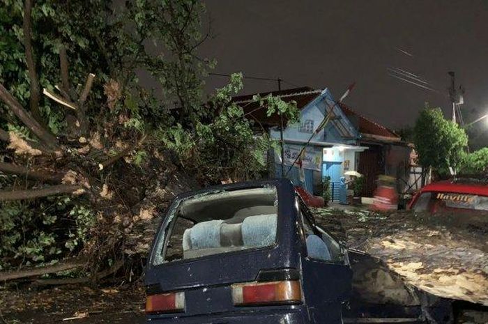 Suzuki Carry gepeng tertimpa pohon tumbang di Kampung Sewu, Jebres, kota Solo, Jawa Tengah