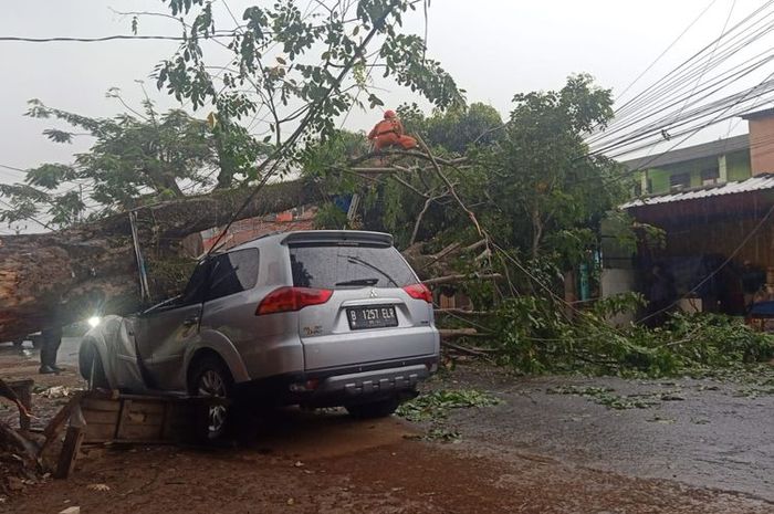 Kondisi Mitsubishi Pajero Sport yang ringsek tertimpa pohon tumbang di Jalan Raya Kalimulya, Cilodong, Kota Depok, Jawa Barat