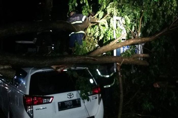 Pohon tumbang menimpa Toyota Kijang Innova Reborn di Jl K.H Dewantara, Tegal Kelapa, Subang, Jawa Barat