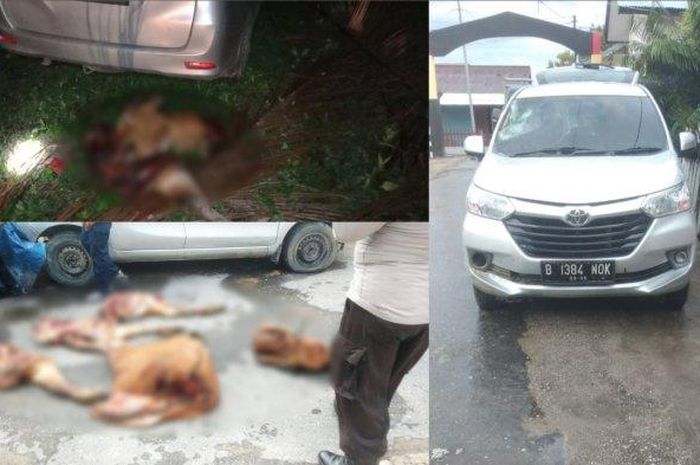 Toyota Avanza ditinggal kabur setelah kena jebakan, warga temukan hal tidak terduga
