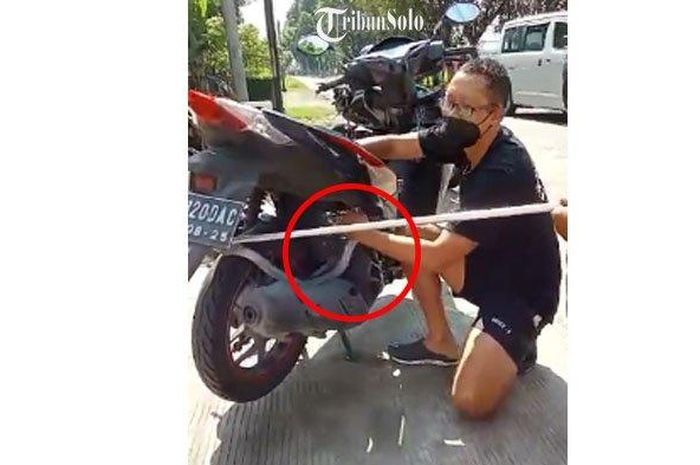 Ada Kobra jawa di dalam bodi Honda vario