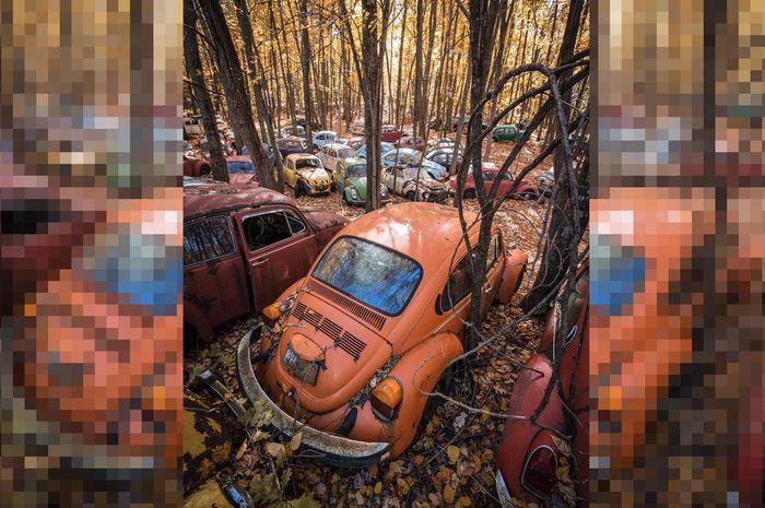 Kuburan Volkswagen Beetle yang ada di Pennsylvania Amerika Serikat.