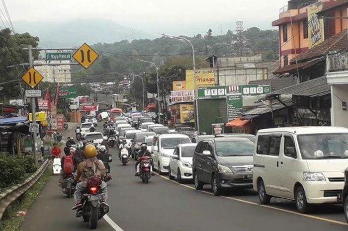 Kawasan wisata Puncak Bogor (ilustrasi)