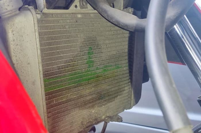 Ilustrasi radiator bocor di motor