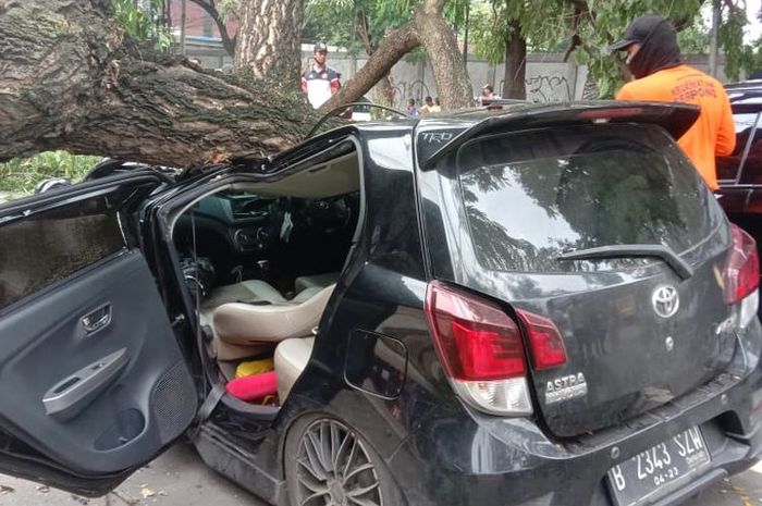 Toyota Agya atap amblas digebrak pohon tumbang 