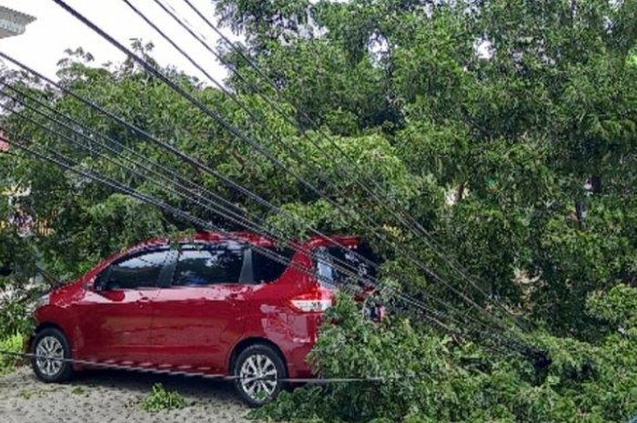 Suzuki Ertiga yang tertimpa pohon tumbang
