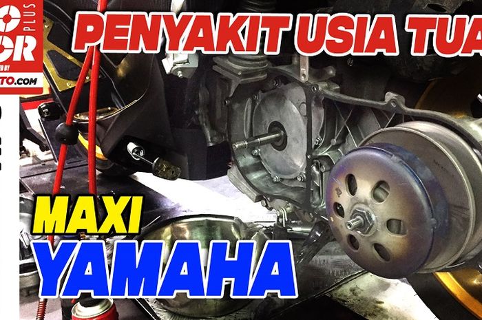 Deteksi penyakit Maxi Yamaha