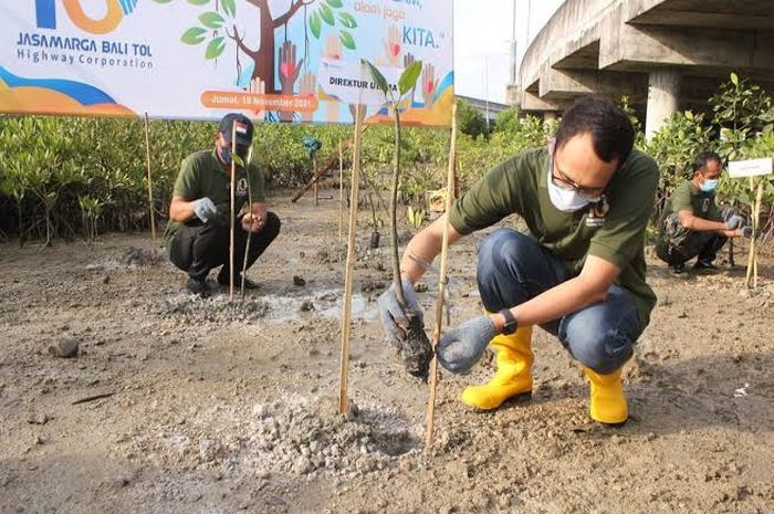 JBT menargetkan tambahan hingga total 800 ribu tanaman Mangrove di sekitaran Tol Bali Mandara.