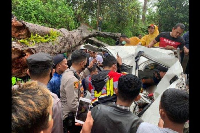 Daihatsu Gran Max yang ringsek tertimpa pohon