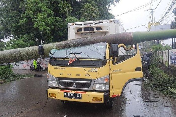 Kepala truk boks Mitsubishi Fuso sampai ringsek gara-gara pohon palem tumbang di Jalan Pajajaran, Kota Tangsel, Sabtu (05/03/2022).