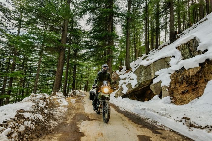 Royal Enfield Himalayan Pine Green 2022