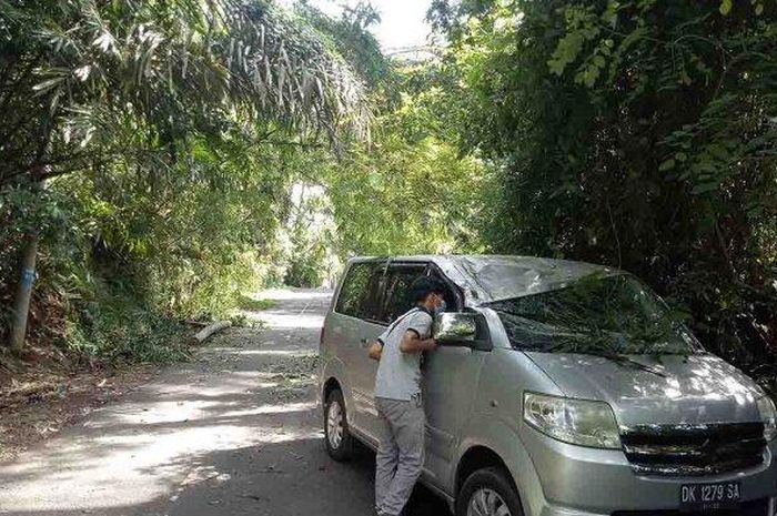Suzuki APV ringsek bagian atap setelah tertimpa pohon kelapa di Karangasem, Bali