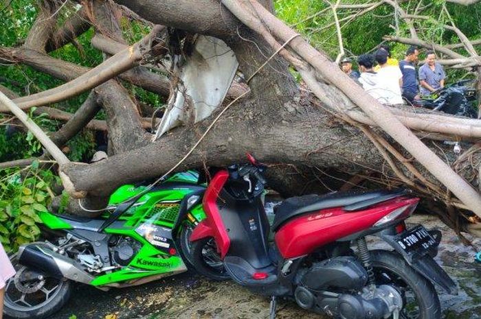 Kawasaki Ninja 250 dan Yamaha Lexi yang tertimpa pohon tumbang di lokasi cucian motor Jl Kayu Putih Selatan, Pulogadung, Jakarta Timur