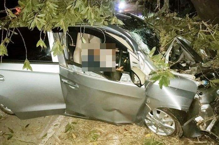 Honda Brio ringsek usai tabrak pohon hingga renggut 1 korban jiwa