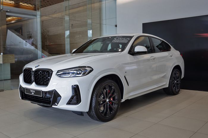 BMW X4 xDrive30i M Sport 