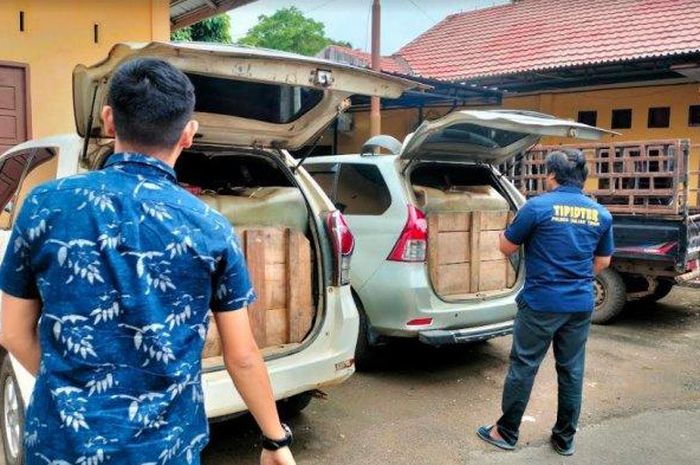 Polisi amankan dua Daihatsu Xenia yang diubah kabinnya untuk mengangkut solar ilegal sebanyak 3 ton, pemilik terancam denda Rp 60 miliar