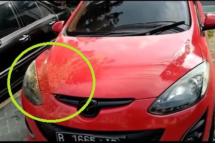 Kap mesin kanan Mazda2 terciprat sambal setelah menusuk nenek dan cucunya di warung bakso jalan raya Pajajaran, Bogor Timur, kota Bogor, Jawa Barat